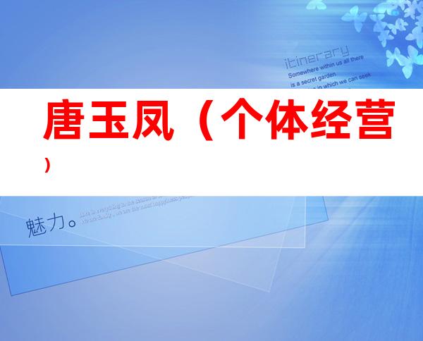 唐玉凤（个体经营）